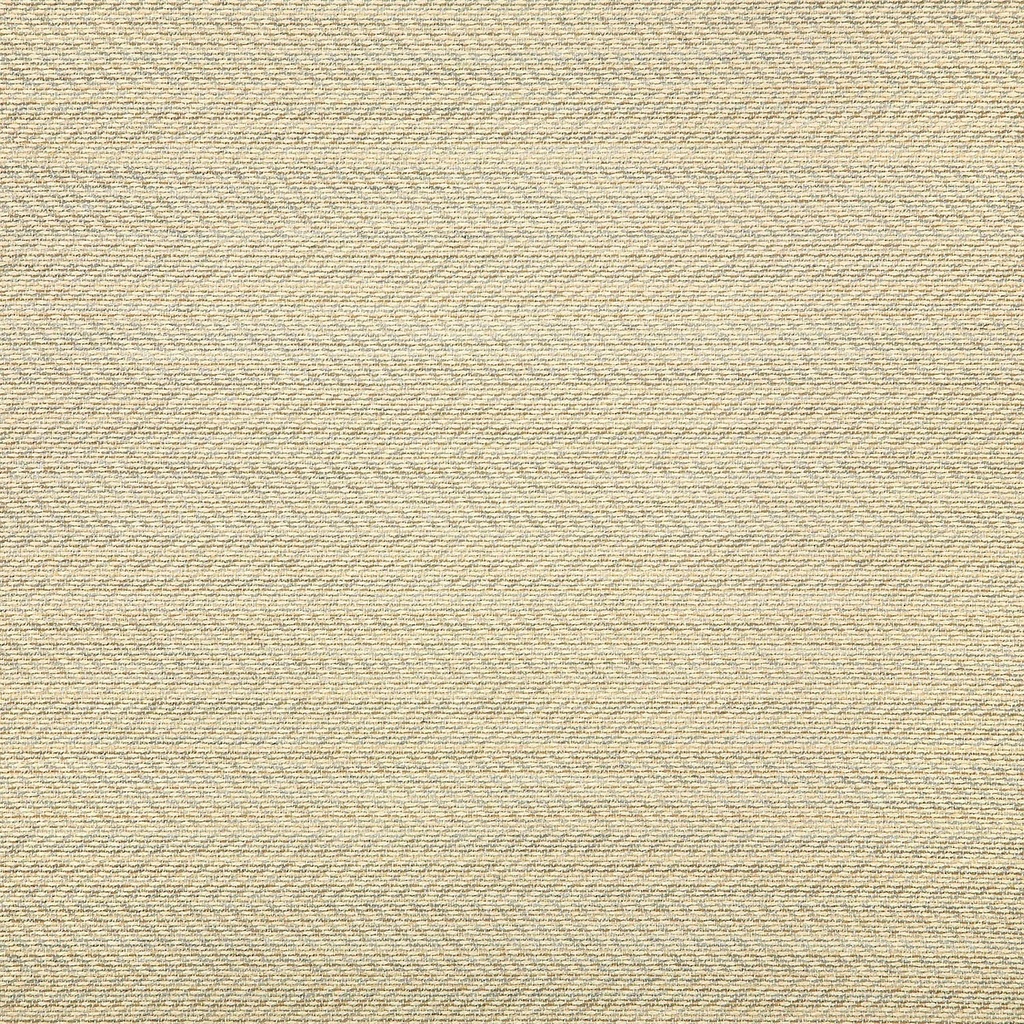 Sunbrella Fusion 54" 44157-0023 Posh Dove