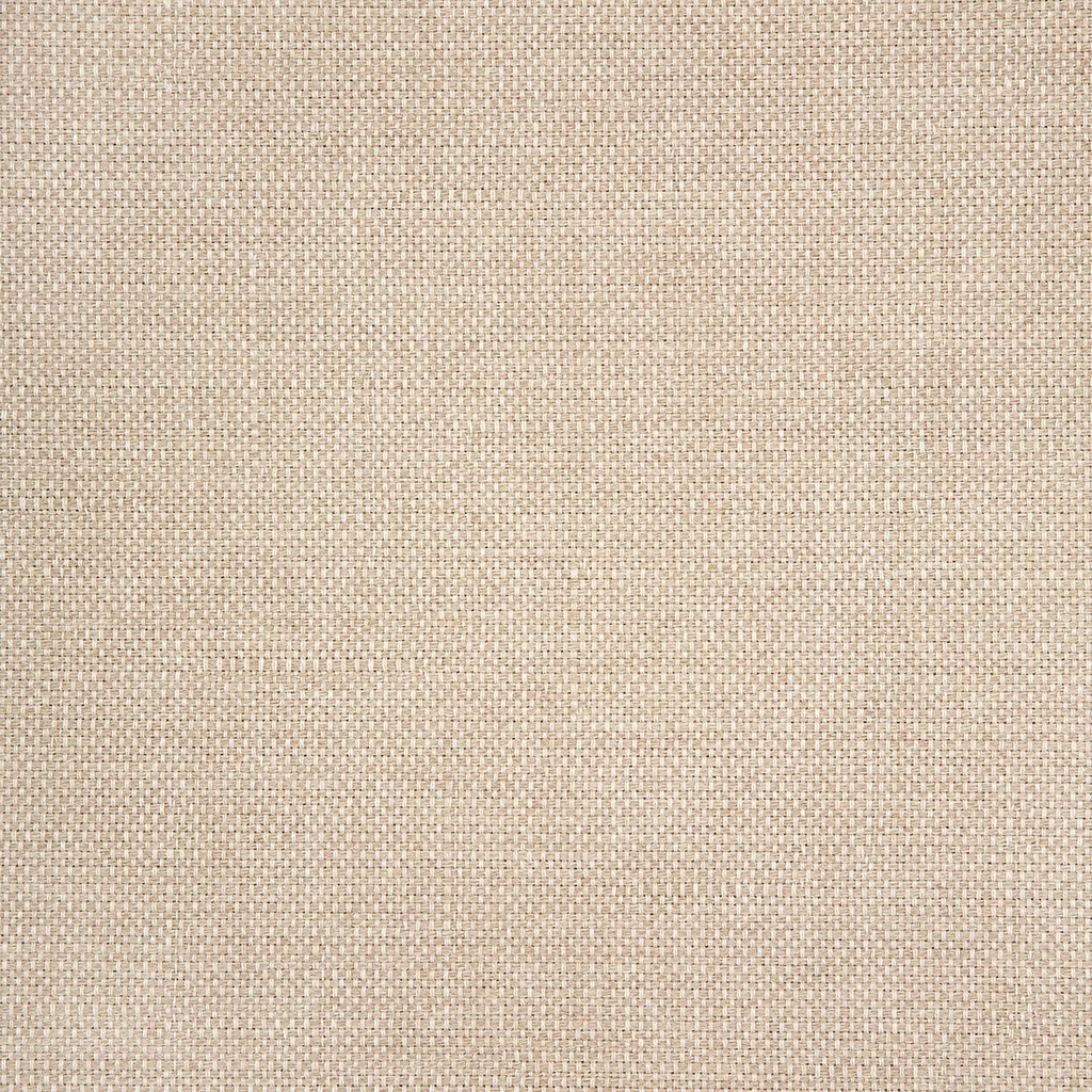Sunbrella Fusion 54" 305423-0005 Piazza Dune
