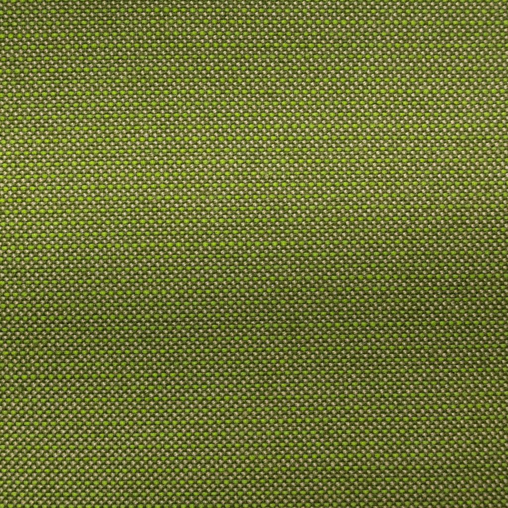Sunbrella 54" 48022-0000 Spectrum Cilantro